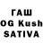 Псилоцибиновые грибы Magic Shrooms Ksysha_ and_friends