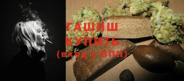 стаф Балахна