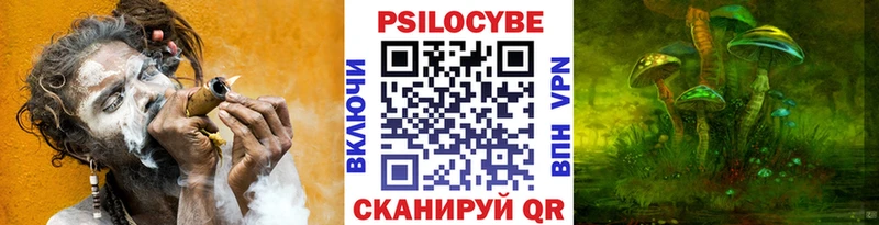 Псилоцибиновые грибы Magic Shrooms  где купить наркоту  Терек 