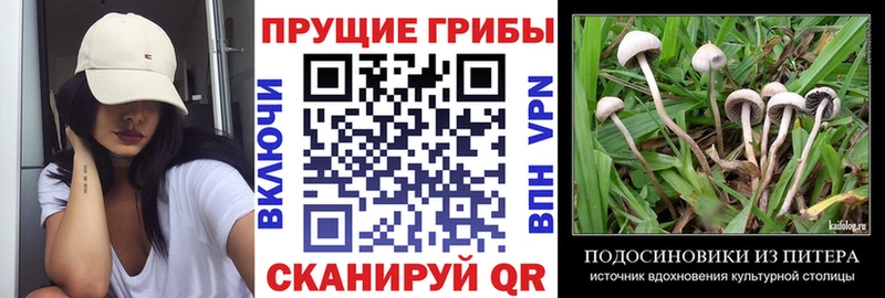 Псилоцибиновые грибы мухоморы Терек
